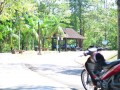 Tn DSC 2086